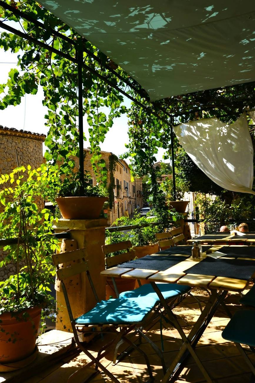 Terrace tables under a vine-covered pergola with a view over the hillside